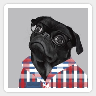 Cute Black Pug With Glasses Magnet